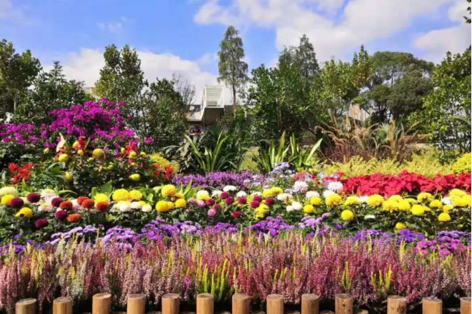 11261637912015169540.png image.png